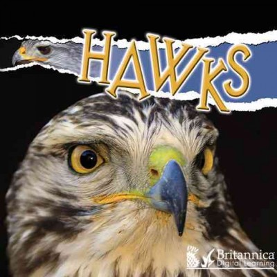 Hawks [electronic resource] / Julie K. Lundgren.